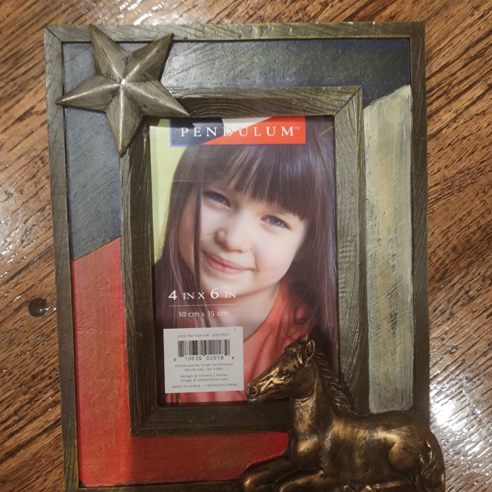 Rustic Multicolor Picture Frame with Star and Horse Accents